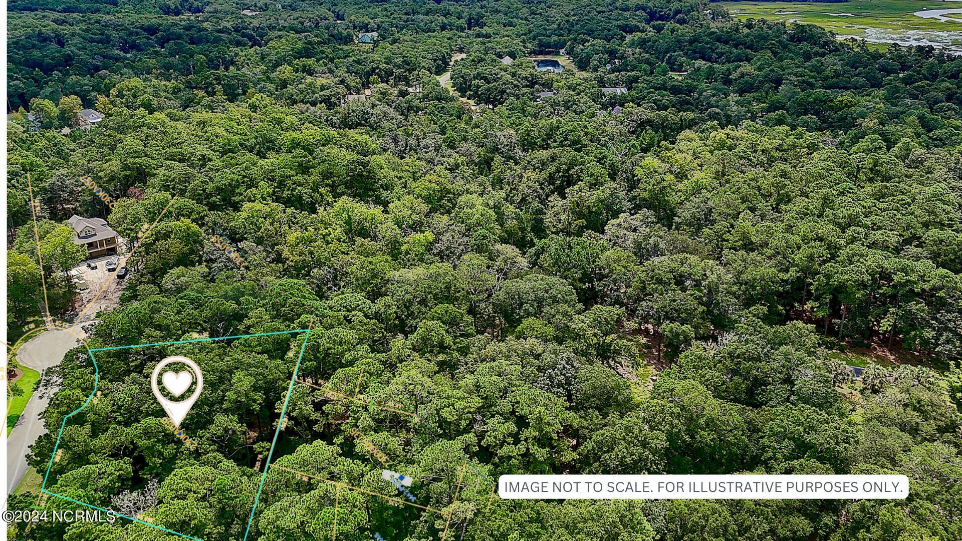 3492 Eagle Crest Drive Southwest Supply, NC 28462 - Photo 5 of 27 05 - Skyview