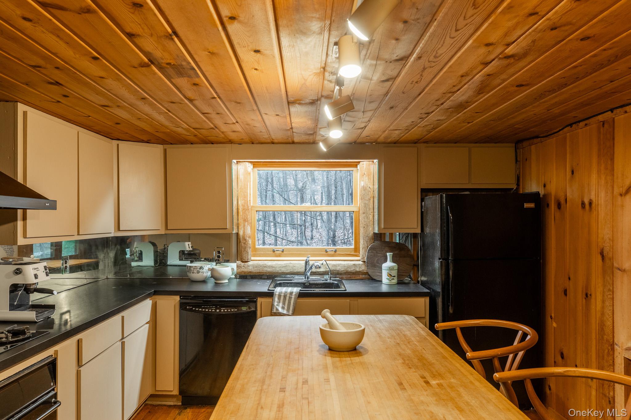 79 Torre Rock Road Red Hook, NY 12571 - Photo 15 of 33 Kitchen with wooden ceiling, black appliances, and rail lighting