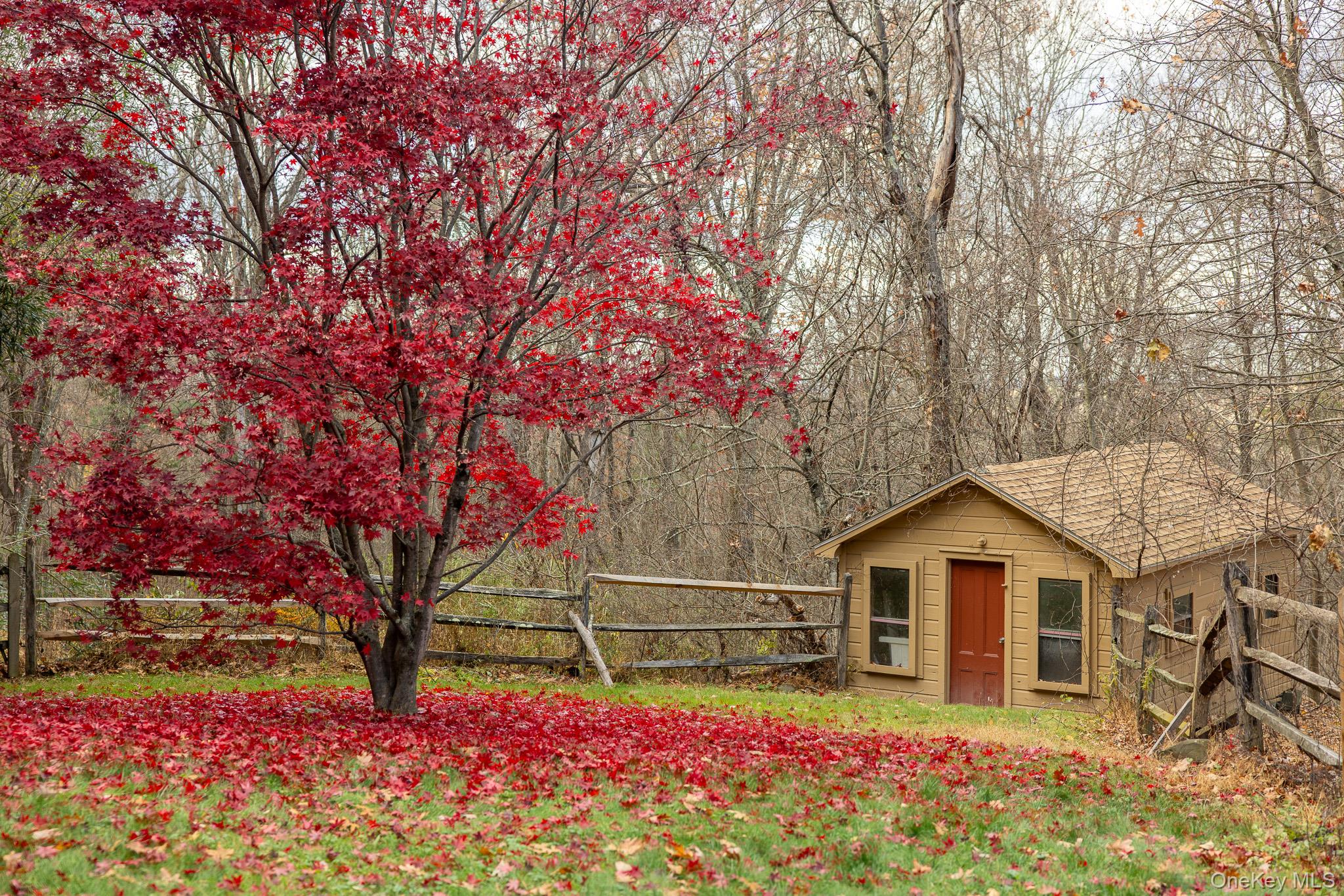 79 Torre Rock Road Red Hook, NY 12571 - Photo 32 of 33 View of yard