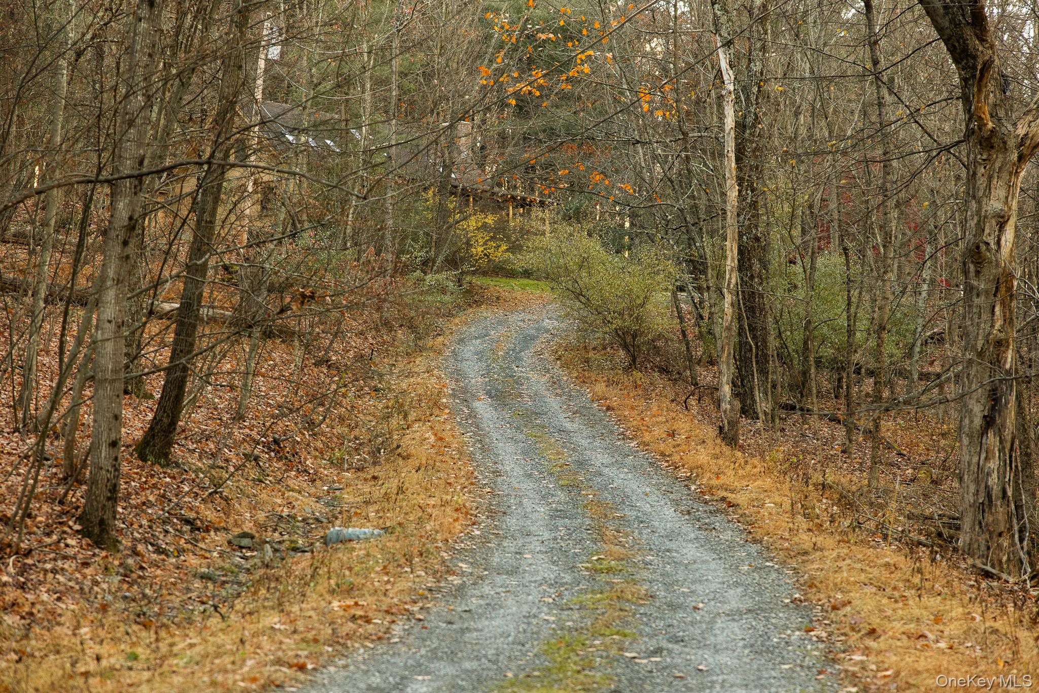 79 Torre Rock Road Red Hook, NY 12571 - Photo 33 of 33 View of road featuring a forest view