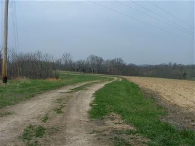 0 Barnes Road Williamstown, KY 41097 - Photo 4 of 6 Gallery Image 4