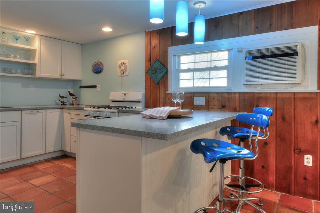 20615 Daisey Road Rehoboth Beach, DE 19971 - Photo 10 of 29 Gallery Image 10