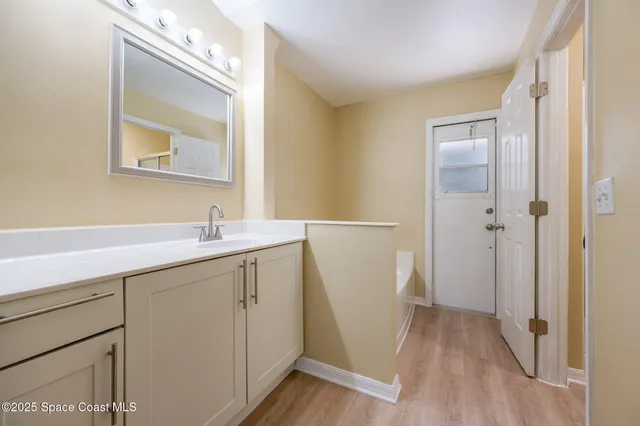 a bathroom with a sink a mirror and a potted plant