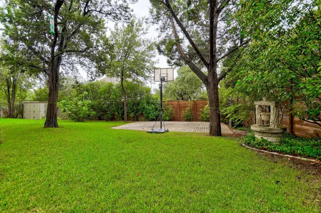 a view of a park with a tree