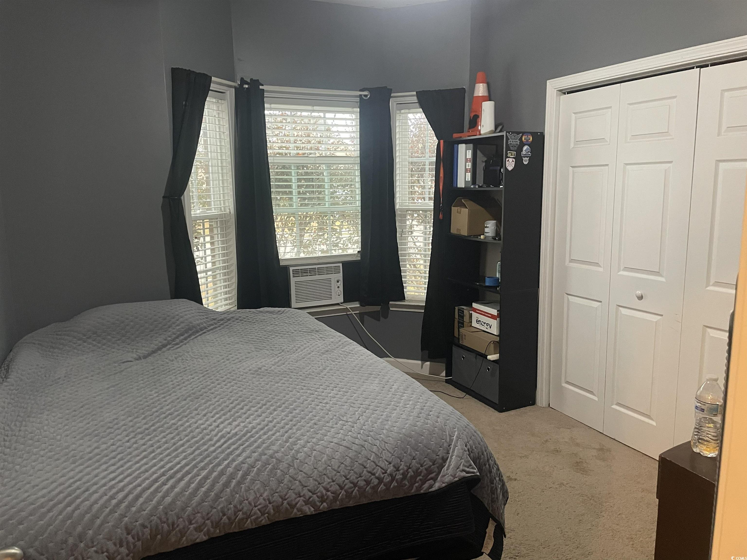 417 Cassian Way Myrtle Beach, SC 29588 - Photo 11 of 13 Bedroom featuring light carpet and a closet