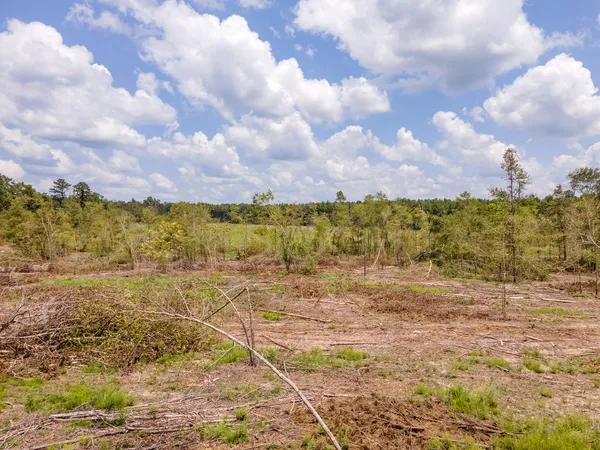 a view of a lake with a yard