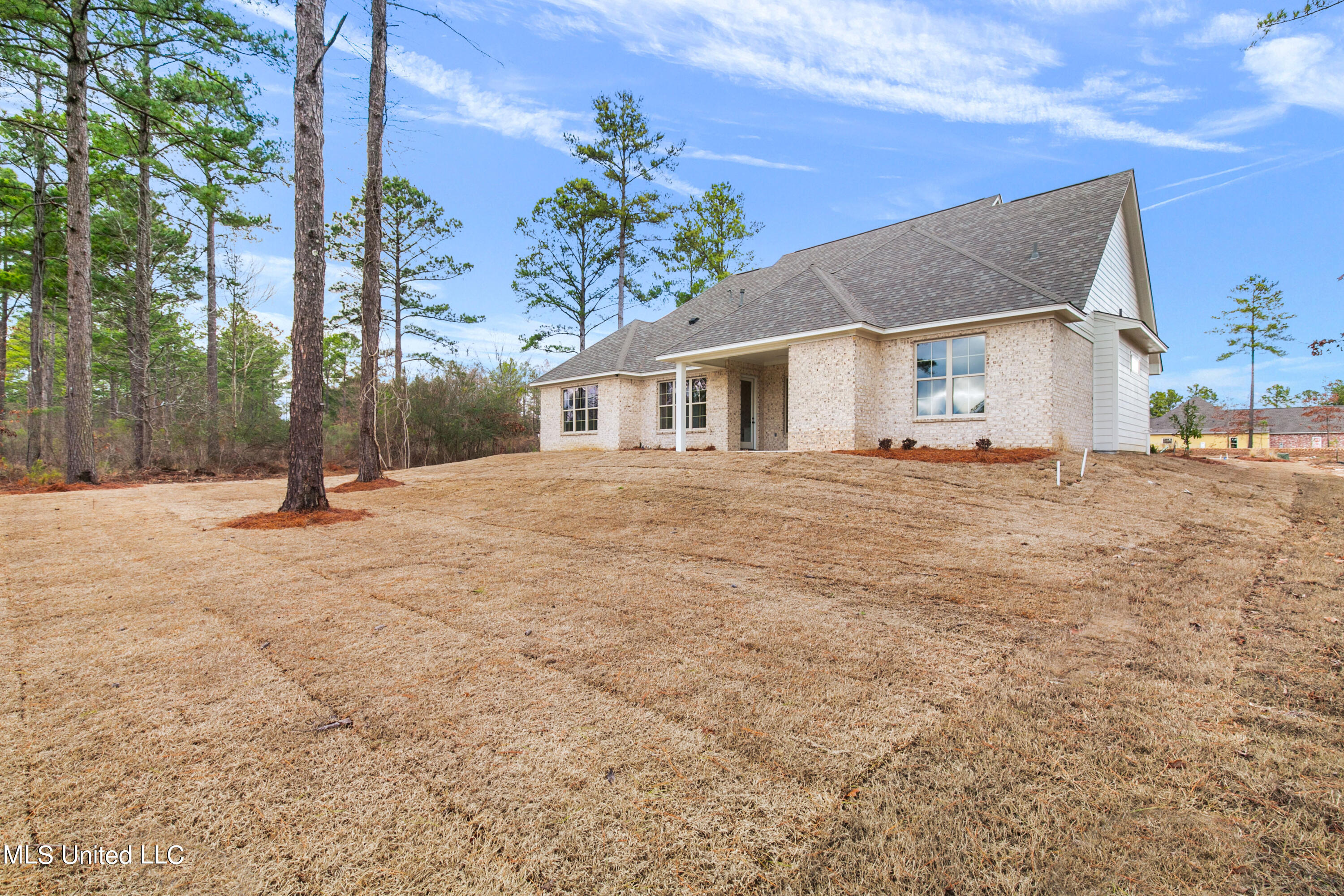 362 Wellstone Place Madison, MS 39110 - Photo 19 of 20 362 Wellstone-29