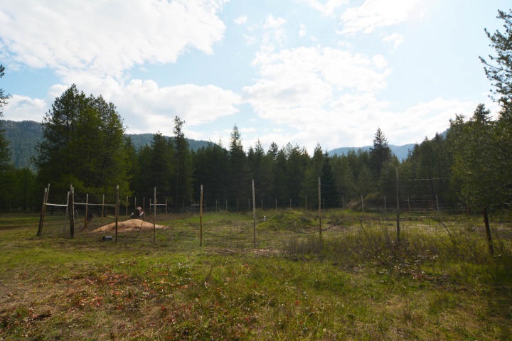 3299 Aladdin Road Colville, WA 99114 - Photo 11 of 15 Gallery Image 11