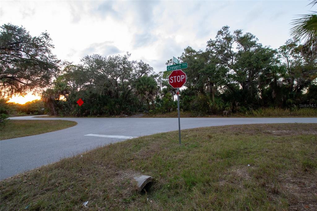 15038 Cresent Avenue Port Charlotte, FL 33953 - Photo 1 of 10 a flag is sitting in the middle of a yard