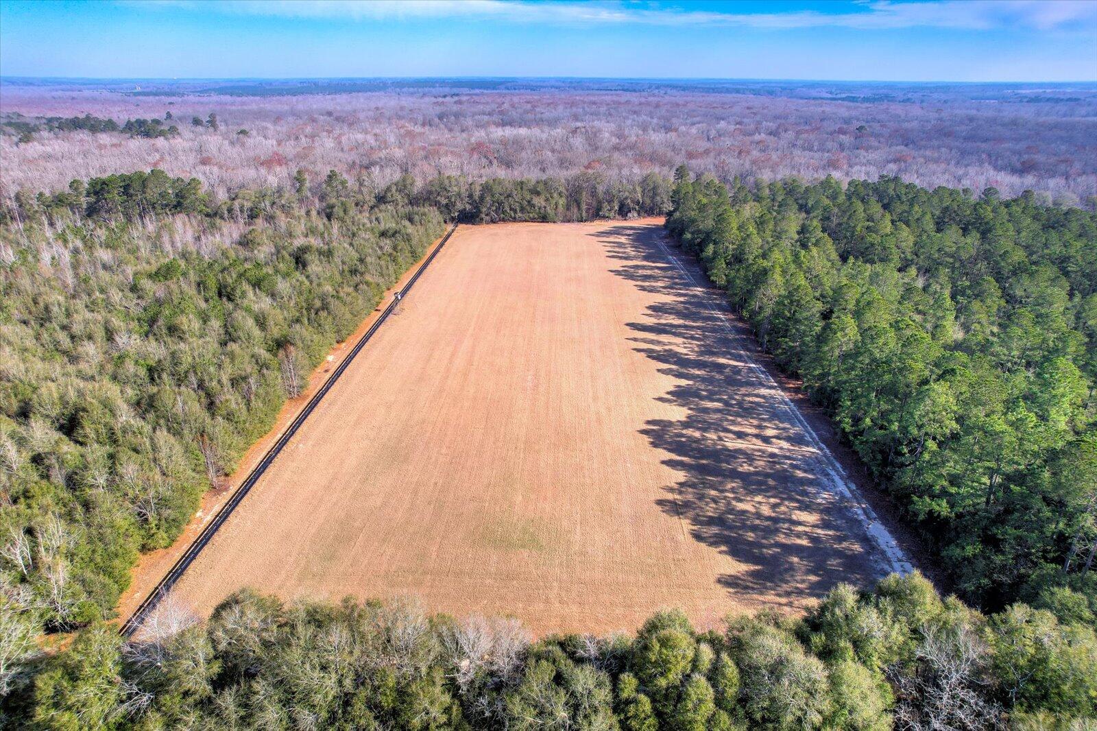 1114 Lott Bluff Road Blackville, SC 29817 - Photo 8 of 164