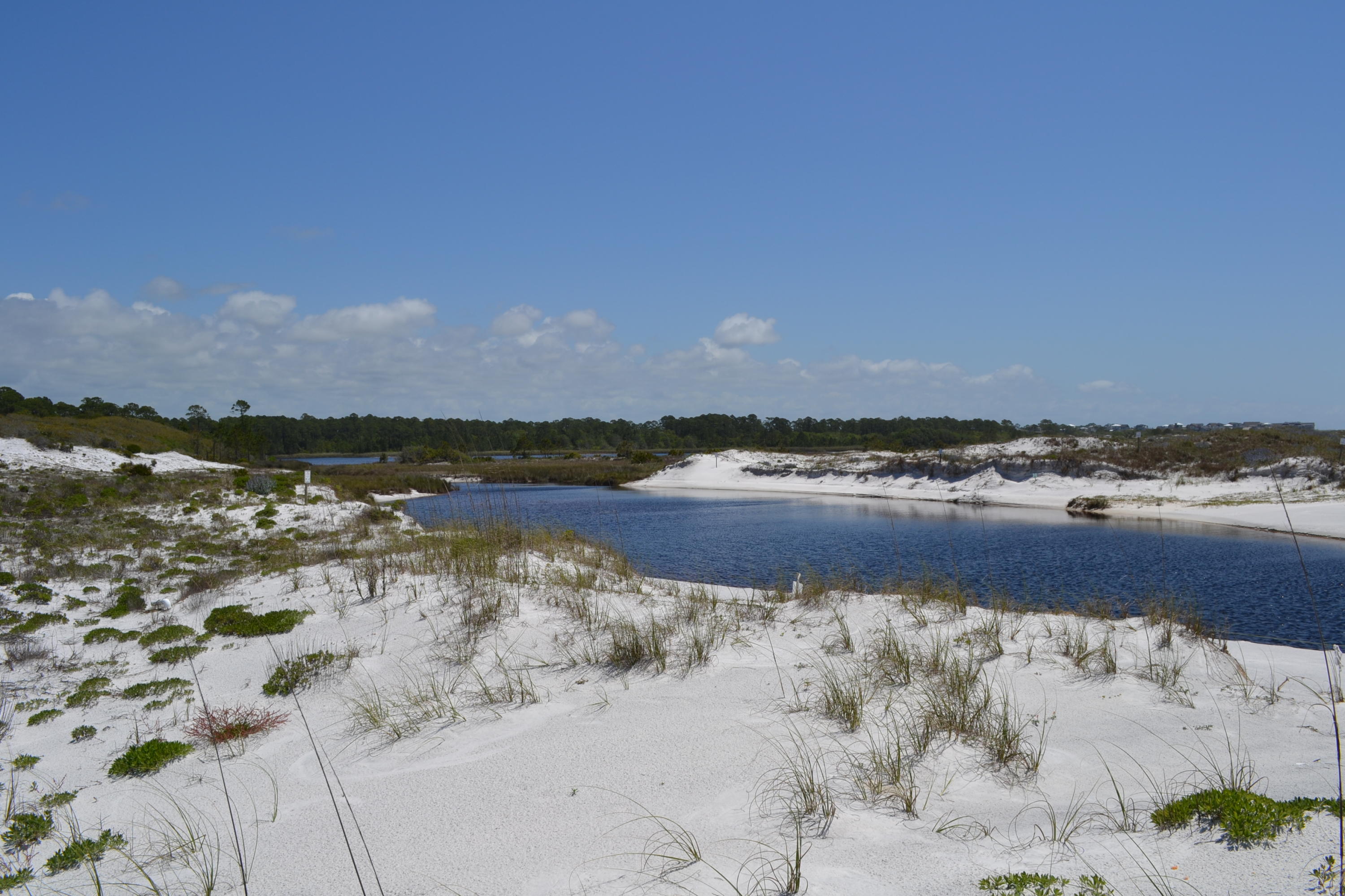 39 Full Moon Lane Santa Rosa Beach, FL 32459 - Photo 48 of 52 Gallery Image 48
