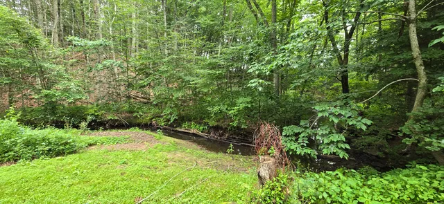 a view of outdoor space and yard