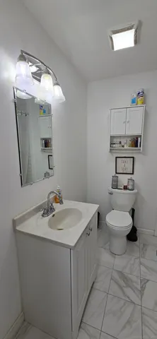a bathroom with a sink a toilet and mirror
