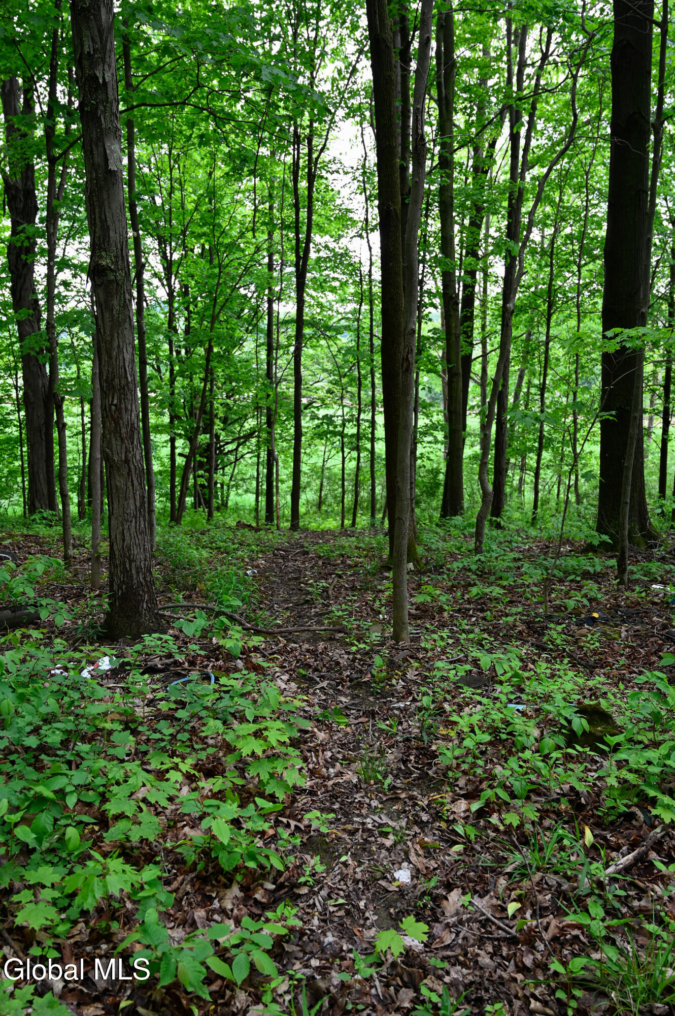 144 Maple Bush Road Cobleskill, NY 12043 - Photo 64 of 83 DSC_7278