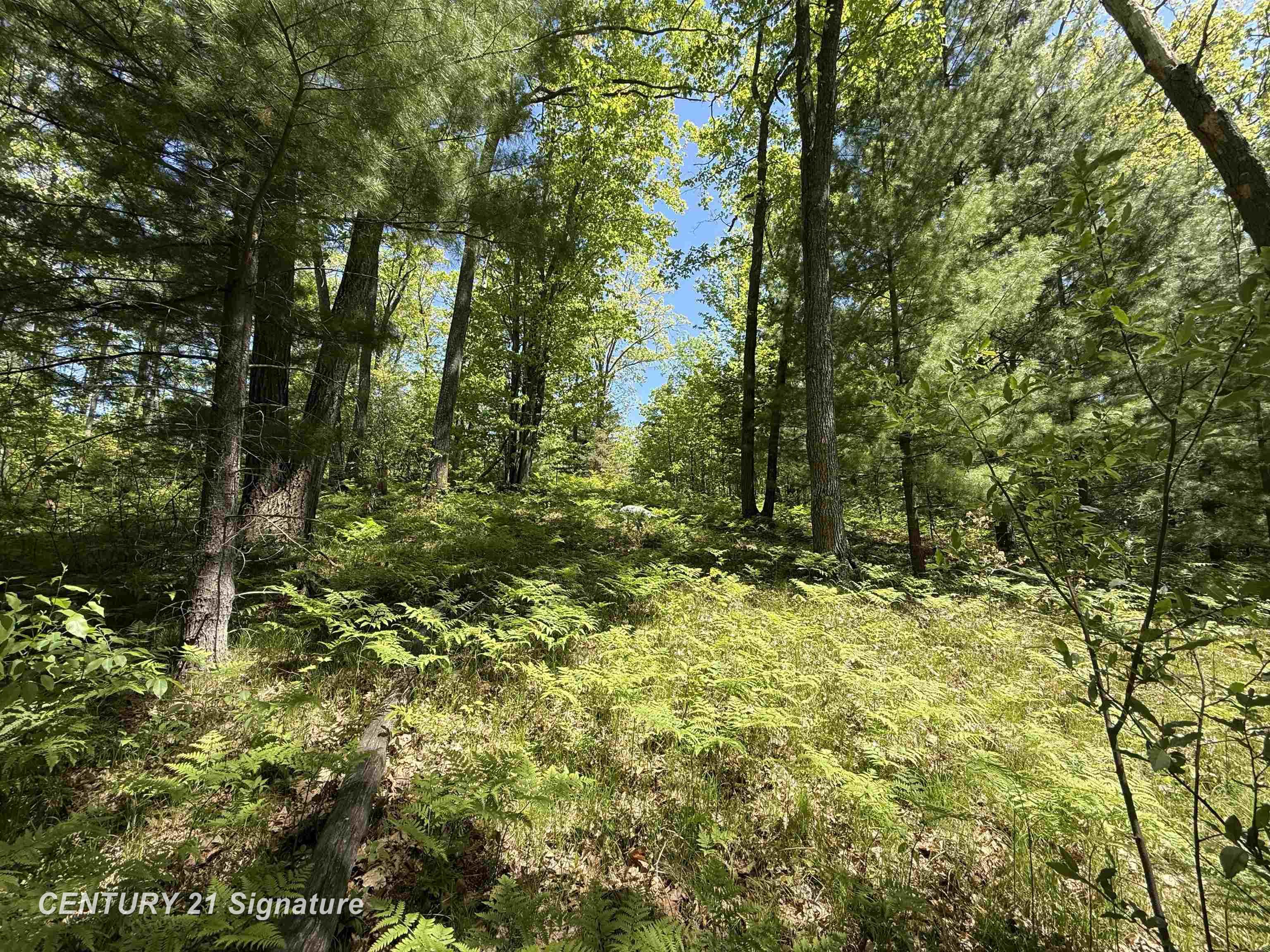 981 East Cranberry Lake Road Harrison, MI 48625 - Photo 2 of 10