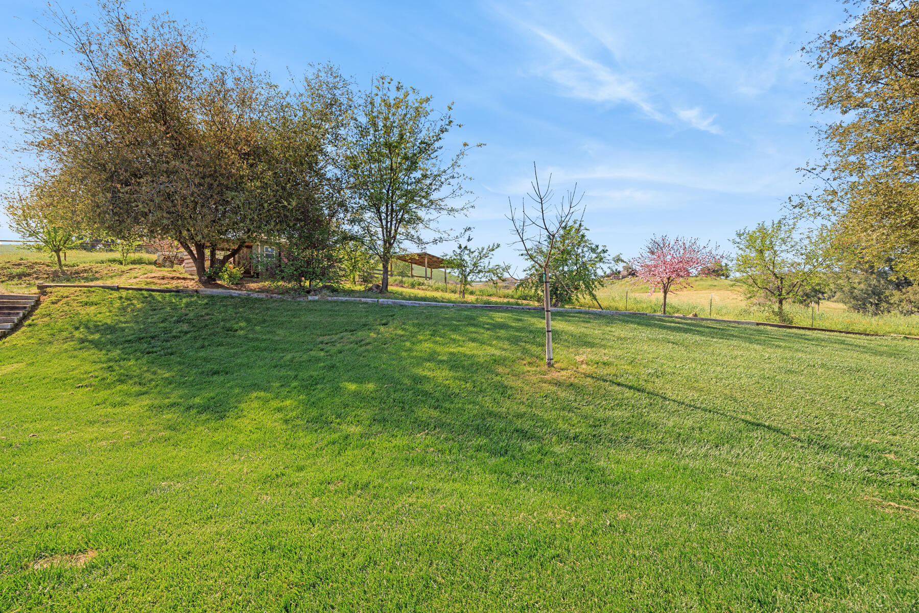 31393 Dahlem Drive Exeter, CA 93221 - Photo 67 of 79 67 - Front yard (1)