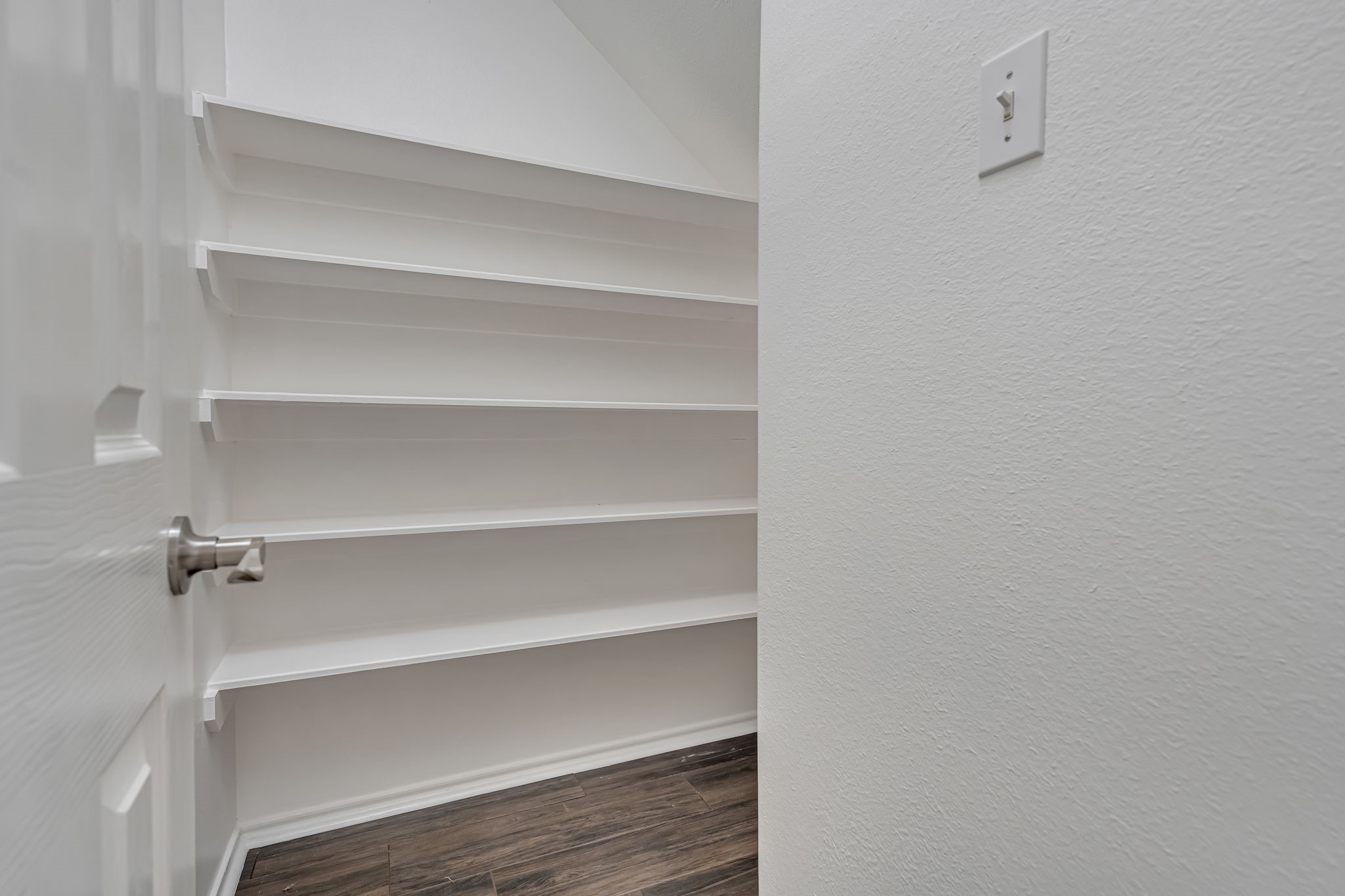 209 Summerhaze Circle Spring, TX 77382 - Photo 5 of 29 Walk-in Pantry