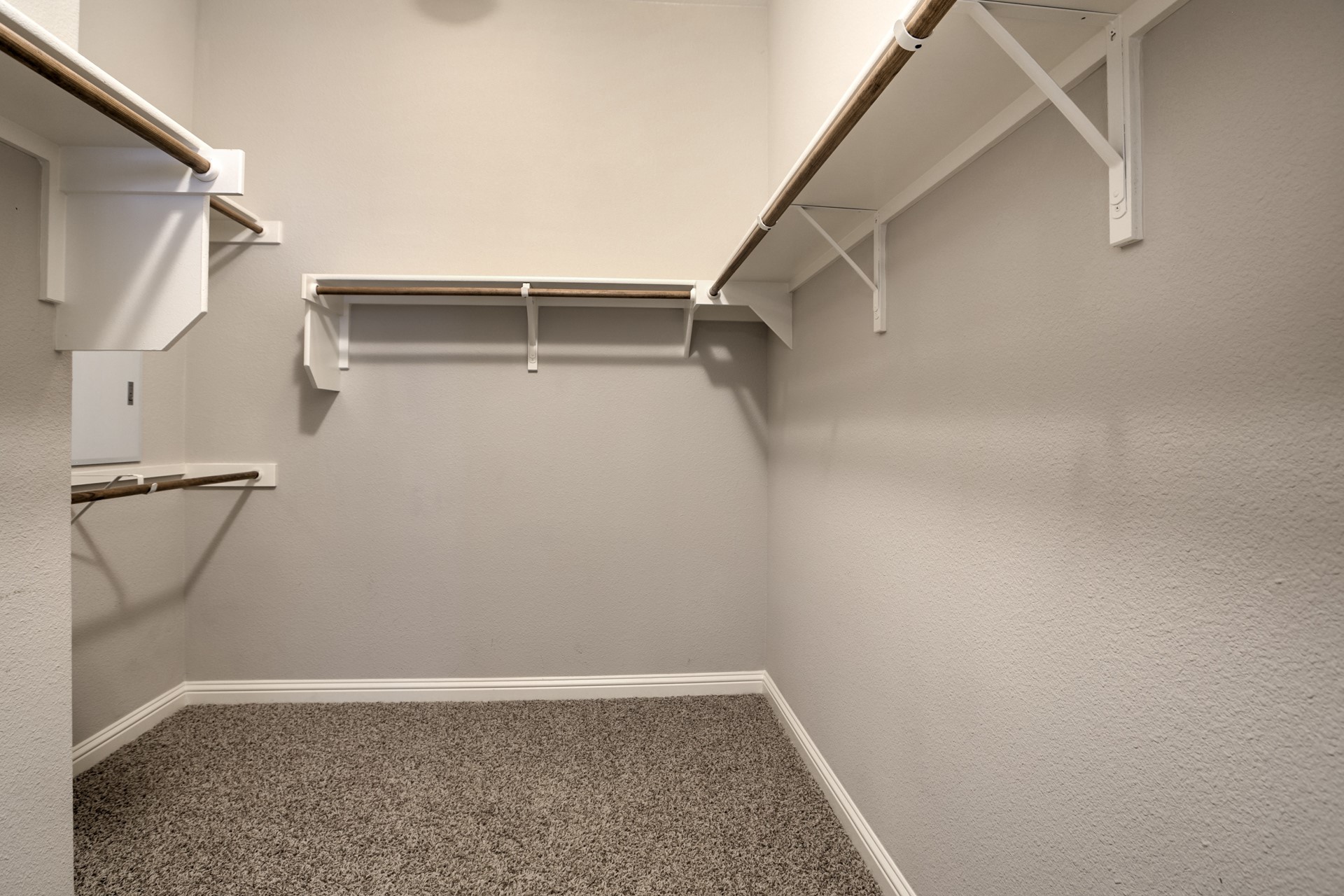 3667 Rosalina Loop Round Rock, TX 78665 - Photo 18 of 26 Walk in closet with carpet floors