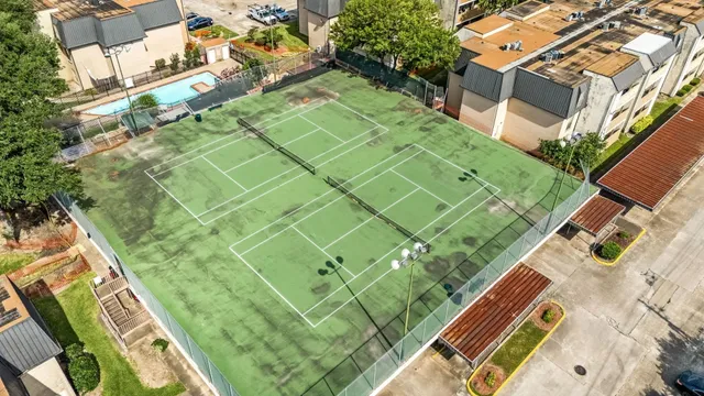 a view of a backyard with plants