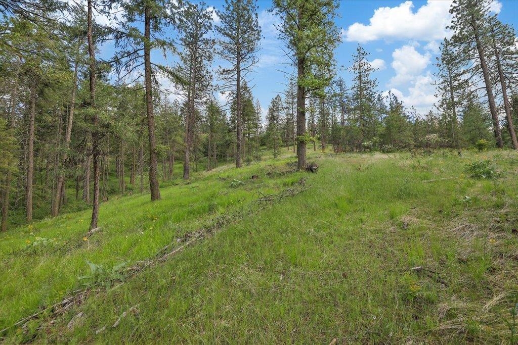Nka Weaver Road, Unit LOT 4 OF LOT 1 Deer Park, WA 99006 - Photo 11 of 15