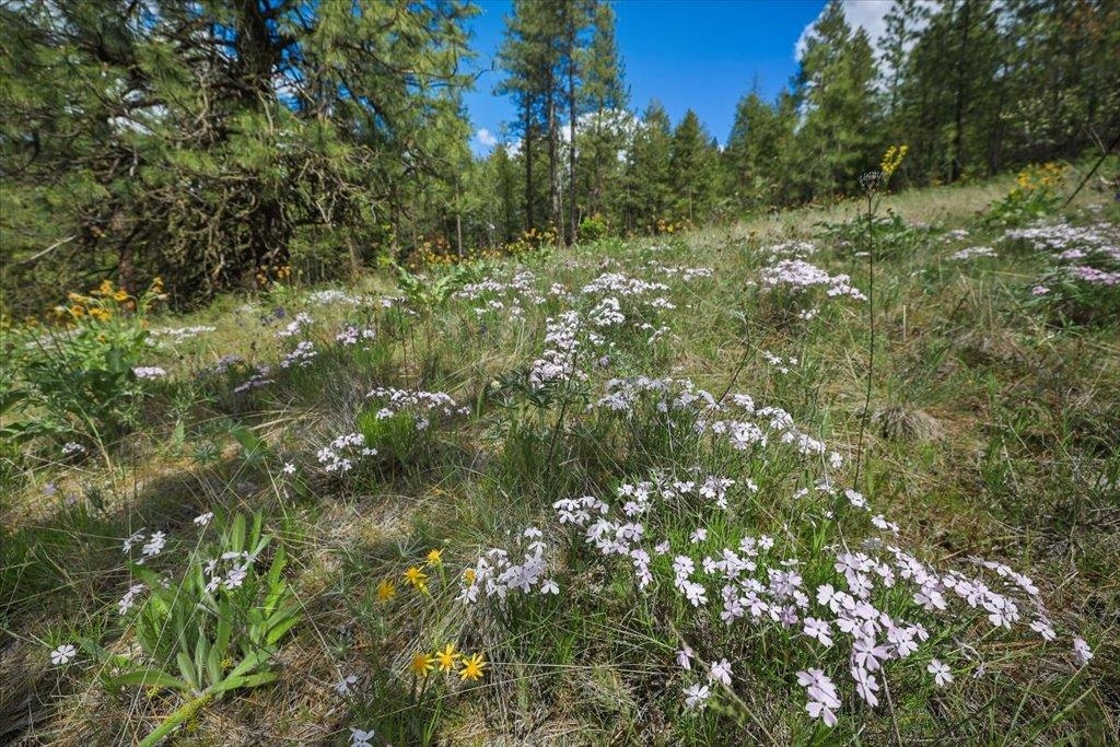 Nka Weaver Road, Unit LOT 4 OF LOT 1 Deer Park, WA 99006 - Photo 12 of 15