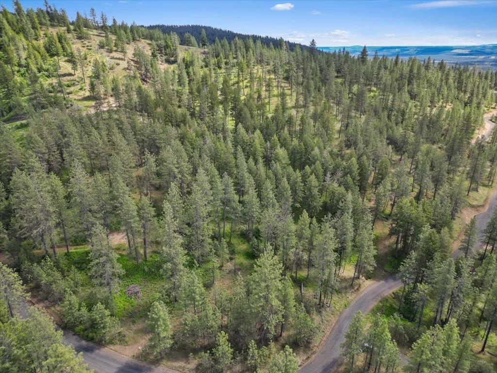 Nka Weaver Road, Unit LOT 4 OF LOT 1 Deer Park, WA 99006 - Photo 13 of 15