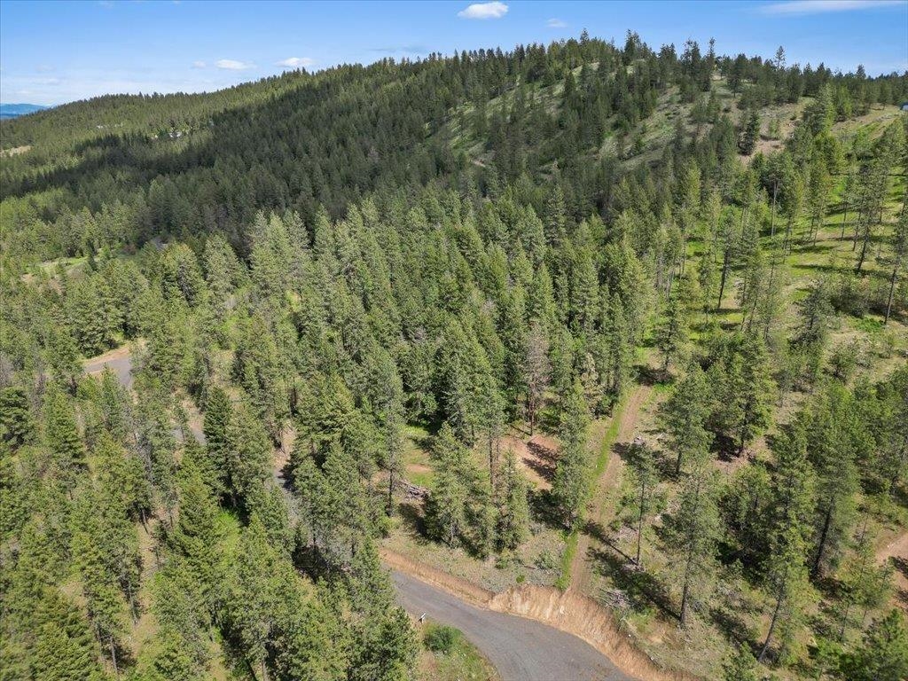 Nka Weaver Road, Unit LOT 4 OF LOT 1 Deer Park, WA 99006 - Photo 14 of 15