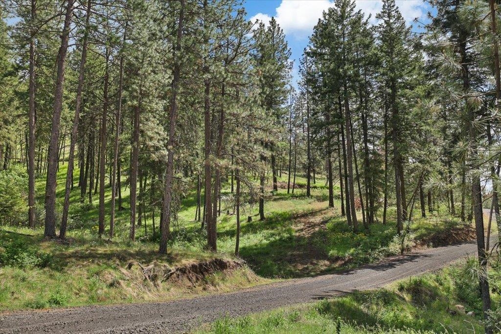 Nka Weaver Road, Unit LOT 4 OF LOT 1 Deer Park, WA 99006 - Photo 2 of 15