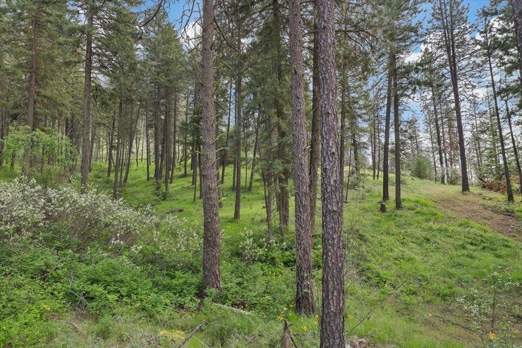 Nka Weaver Road, Unit LOT 4 OF LOT 1 Deer Park, WA 99006 - Photo 4 of 15