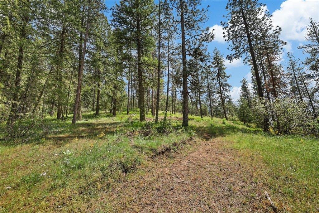 Nka Weaver Road, Unit LOT 4 OF LOT 1 Deer Park, WA 99006 - Photo 6 of 15