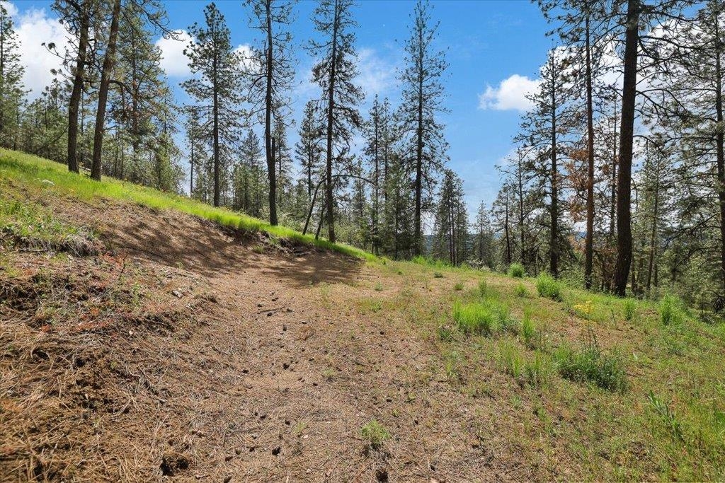Nka Weaver Road, Unit LOT 4 OF LOT 1 Deer Park, WA 99006 - Photo 7 of 15