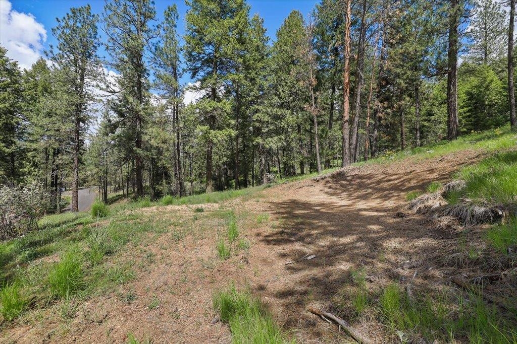 Nka Weaver Road, Unit LOT 4 OF LOT 1 Deer Park, WA 99006 - Photo 8 of 15