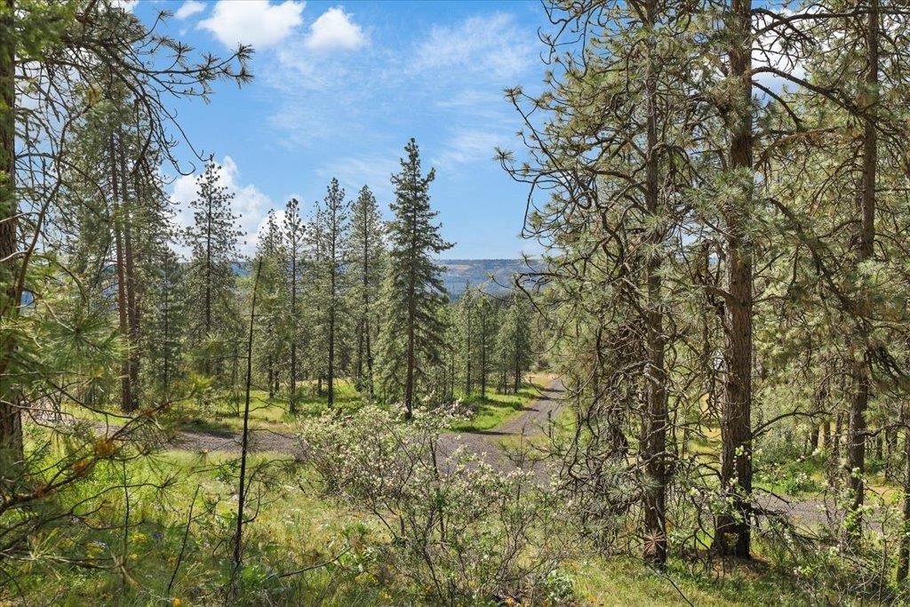 Nka Weaver Road, Unit LOT 4 OF LOT 1 Deer Park, WA 99006 - Photo 9 of 15