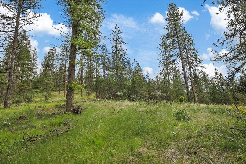 Nka Weaver Road, Unit LOT 4 OF LOT 1 Deer Park, WA 99006 - Photo 10 of 15