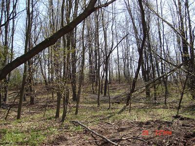 South Arent Road Watervliet, MI 49098 - Photo 11 of 11 Additional Photo
