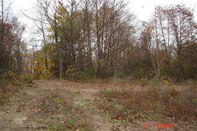 South Arent Road Watervliet, MI 49098 - Photo 4 of 11 Additional Photo