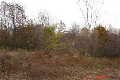 South Arent Road Watervliet, MI 49098 - Photo 5 of 11 Additional Photo
