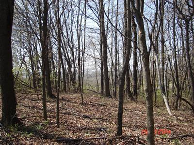 South Arent Road Watervliet, MI 49098 - Photo 10 of 11 Additional Photo
