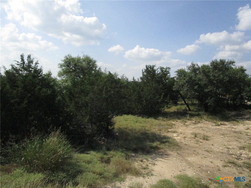 3246 Hawthorne Road Spring Branch, TX 78070 - Photo 9 of 12 Gallery Image 9