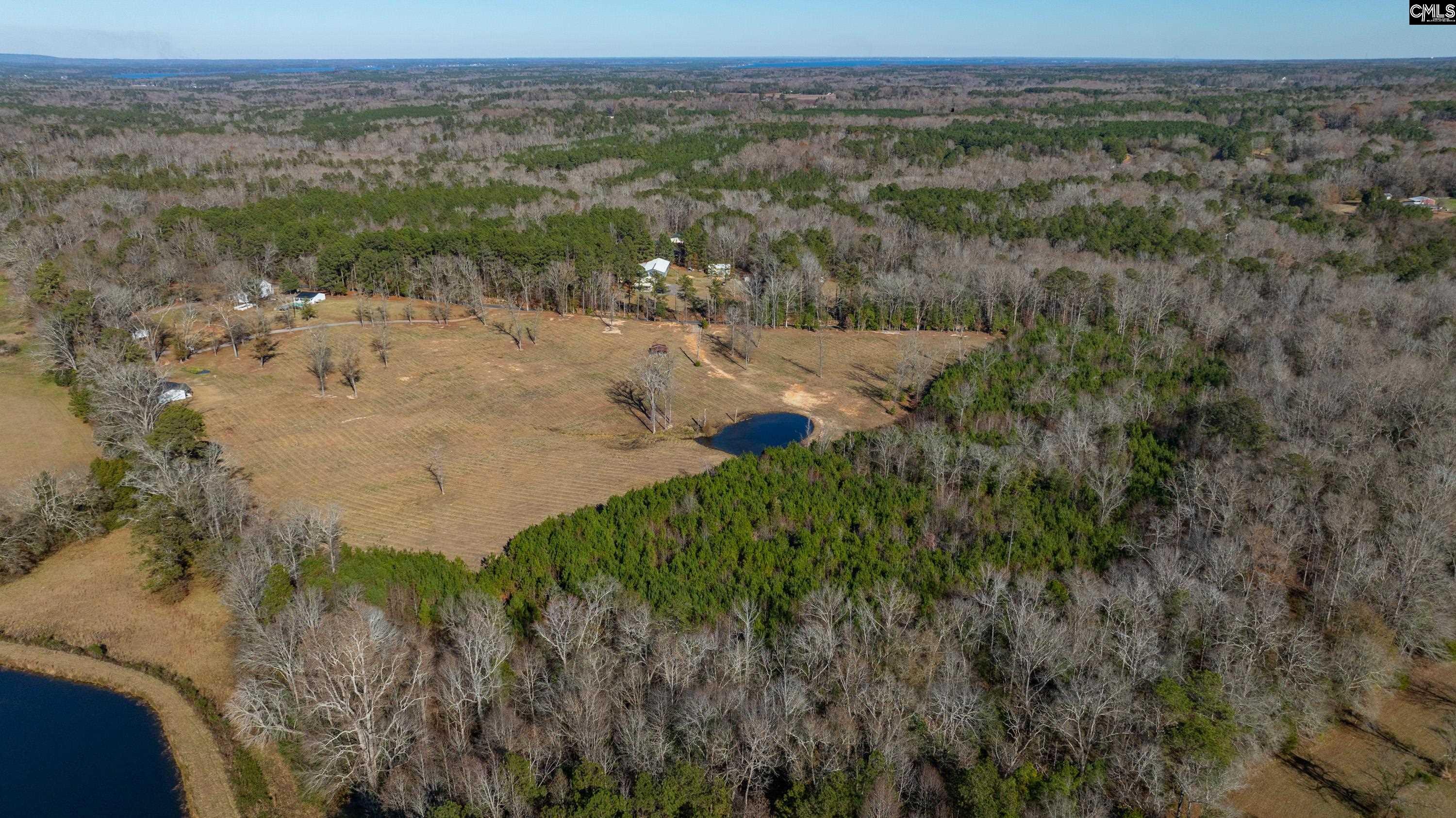 0 Cedar Grove Road Leesville, SC 29070 - Photo 4 of 14