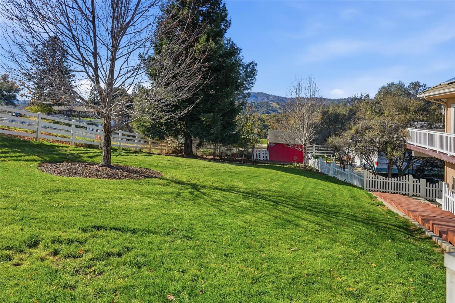 43319 Leach Road Ahwahnee, CA 93601 - Photo 5 of 61 a green field with lots of trees in the background