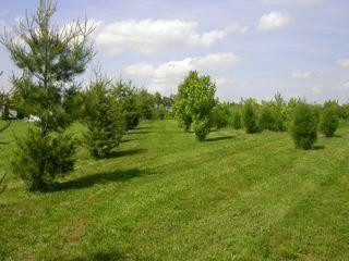 2975 Grimes Mill Road Lexington, KY 40515 - Photo 12 of 14 Photo 12