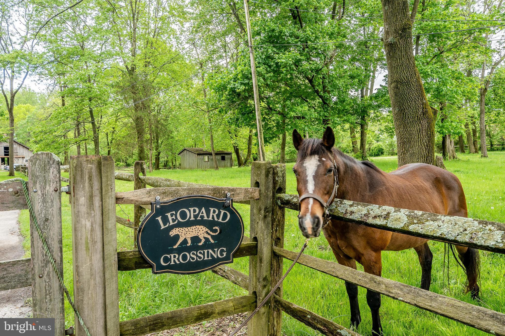 2020 Grubbs Mill Road Berwyn, PA 19312 - Photo 3 of 49 Welcome to Leopard Crossing