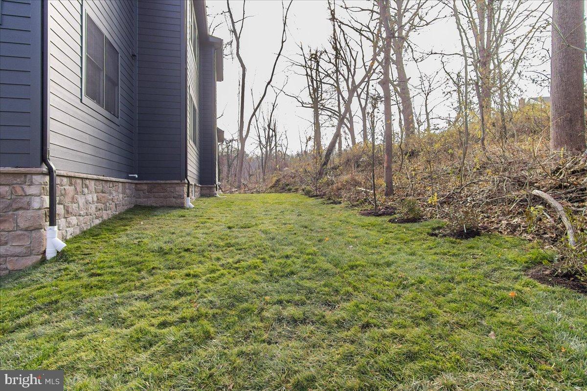 3520 Castle Way Davidsonville, MD 21035 - Photo 78 of 87 Lush green yard bordered by serene woods.