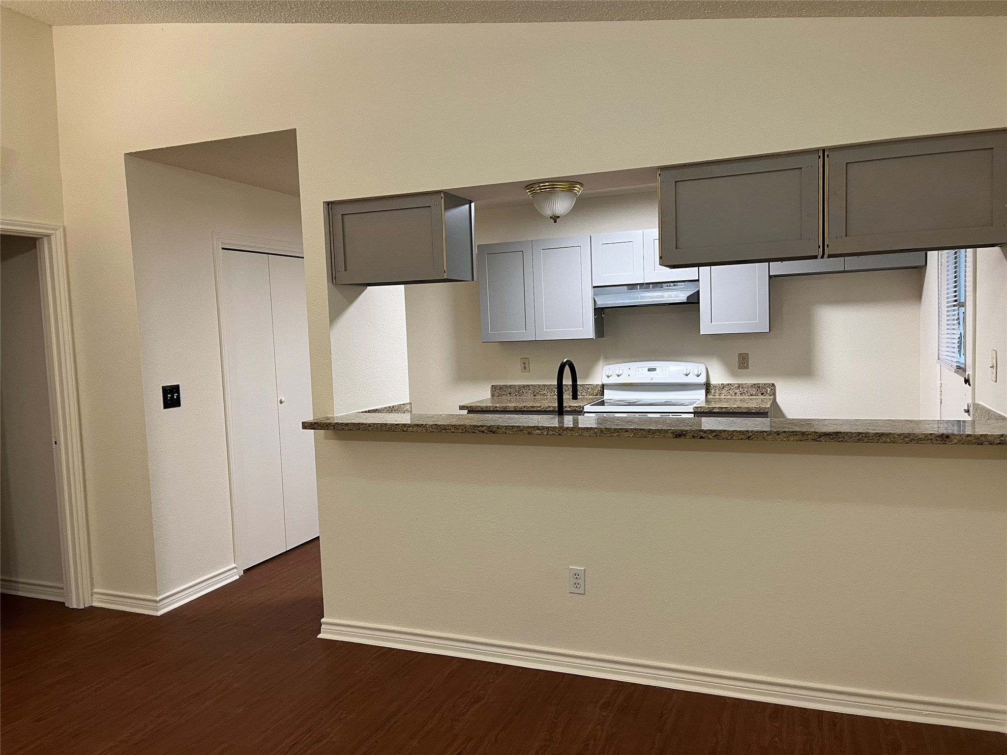 23393 Nameless Road, Unit 144 Leander, TX 78641 - Photo 4 of 23 Kitchen with dark stone counters, under cabinet range hood, white range with electric cooktop, gray cabinetry, and dark wood-style floors