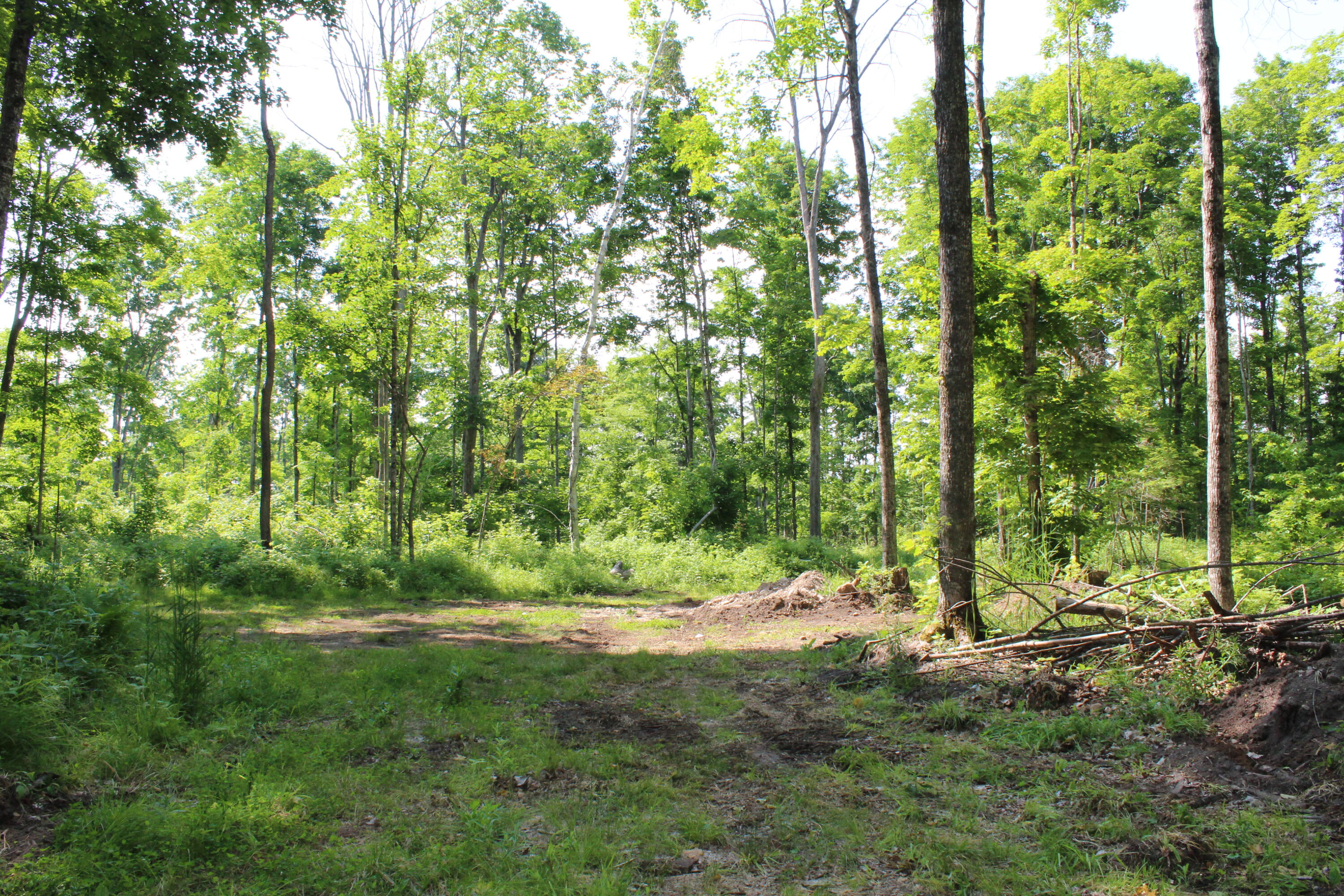 0 McGahn Road Germfask, MI 49836 - Photo 16 of 22 IMG_2435
