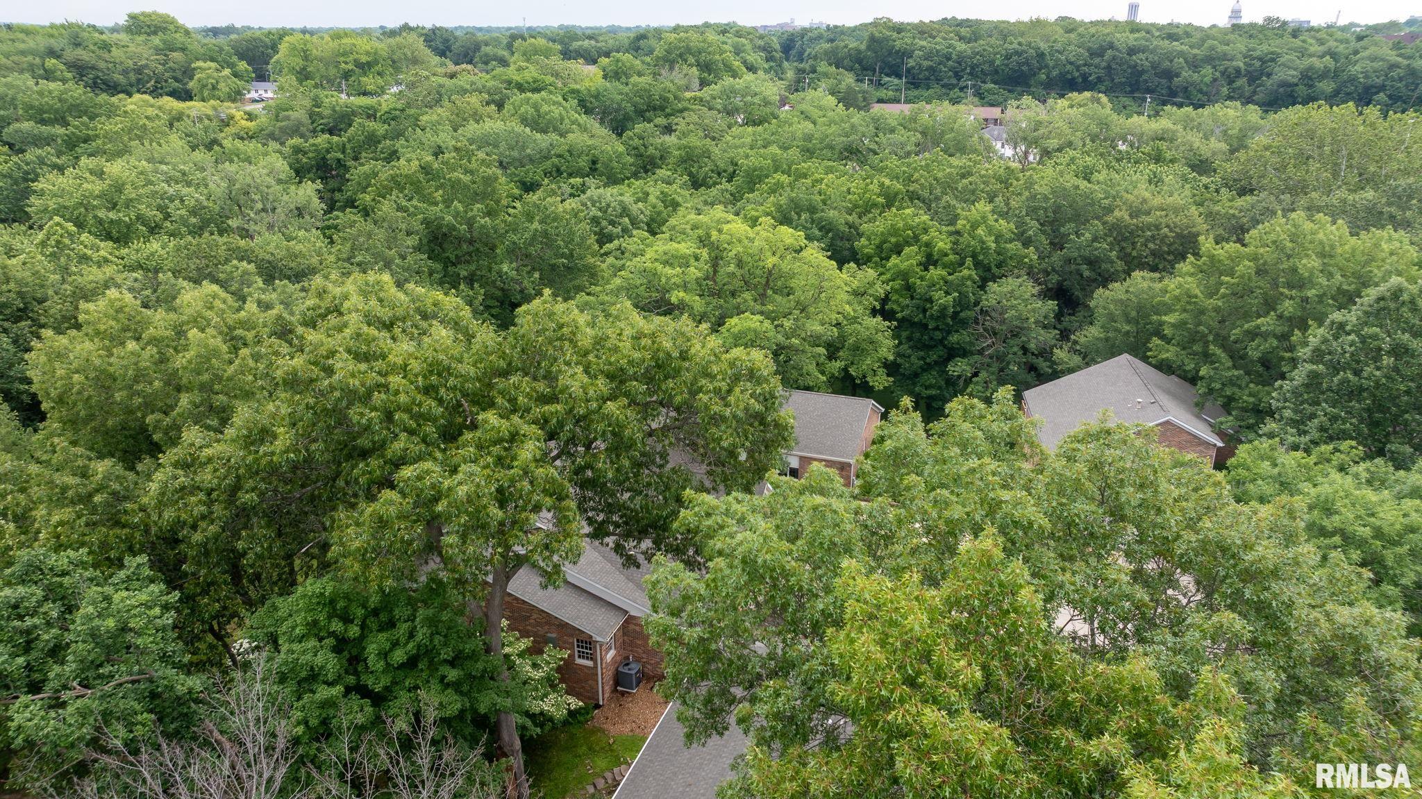 2109 Timbercrest Court Springfield, IL 62702 - Photo 54 of 58