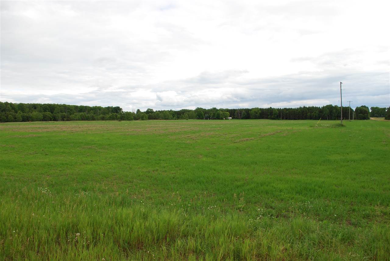 6773 Kenny Road Kaleva, MI 49645 - Photo 47 of 47 1826335-46.JPG