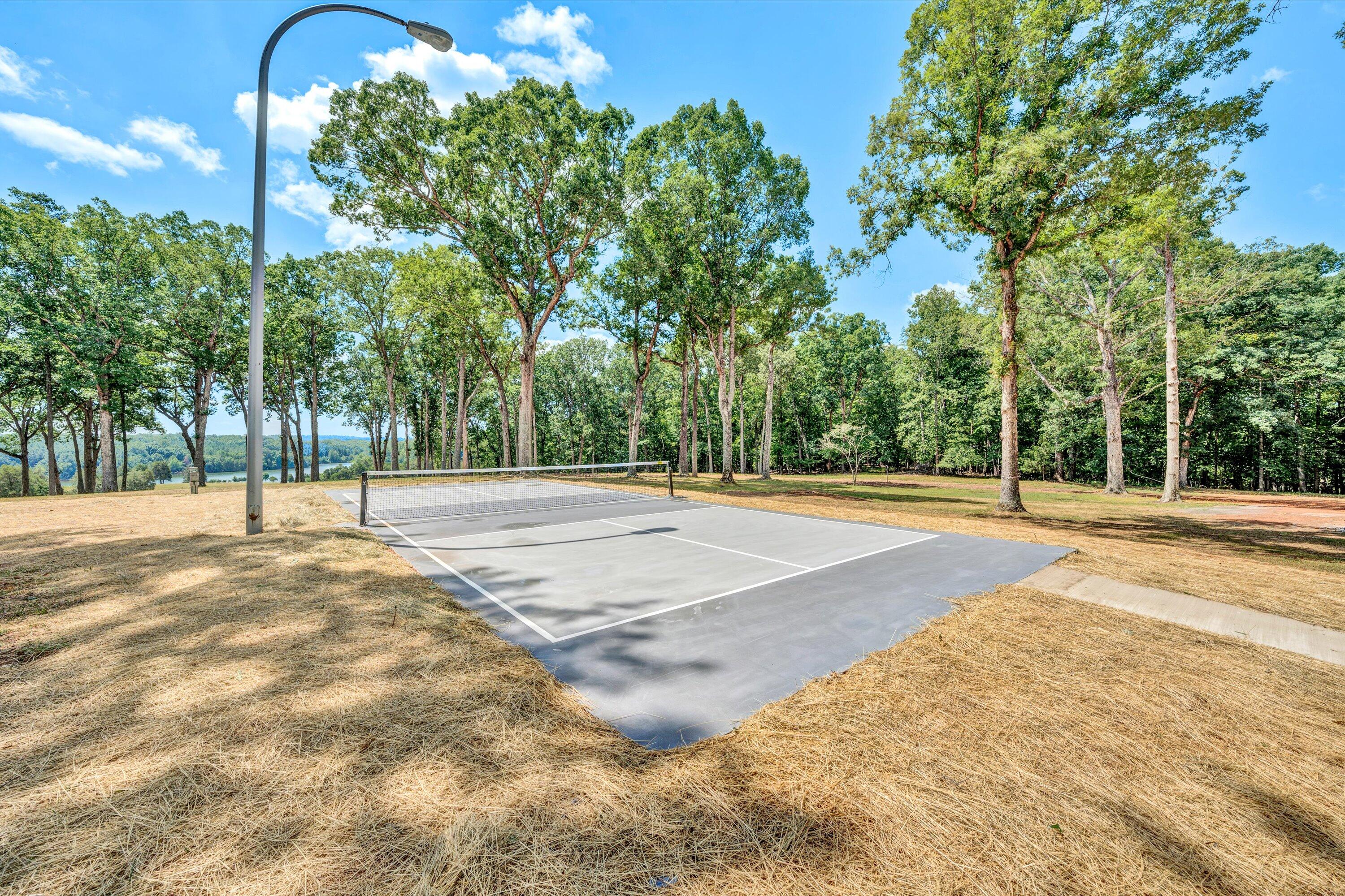 750 Penn Hall Road Union Hall, VA 24176 - Photo 64 of 77 Pickleball Court