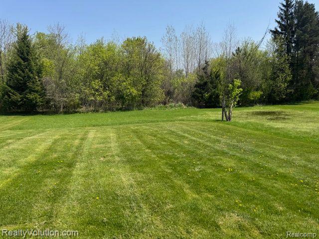2240 Sperry Road Allenton, MI 48002 - Photo 9 of 25